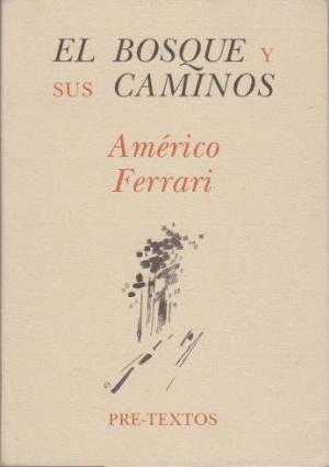 El bosque y sus caminos